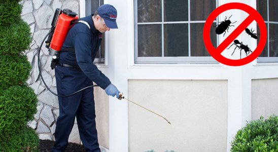 Yenişehir Bit İlaçlama böcek ilaçlama ve haşere kontrolü — ilaclama-tr.com